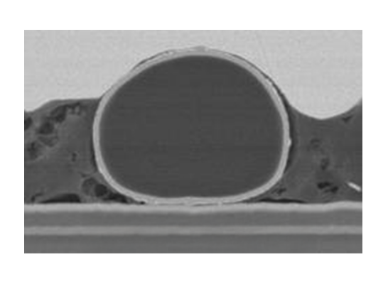 硬質樹脂核心粒子